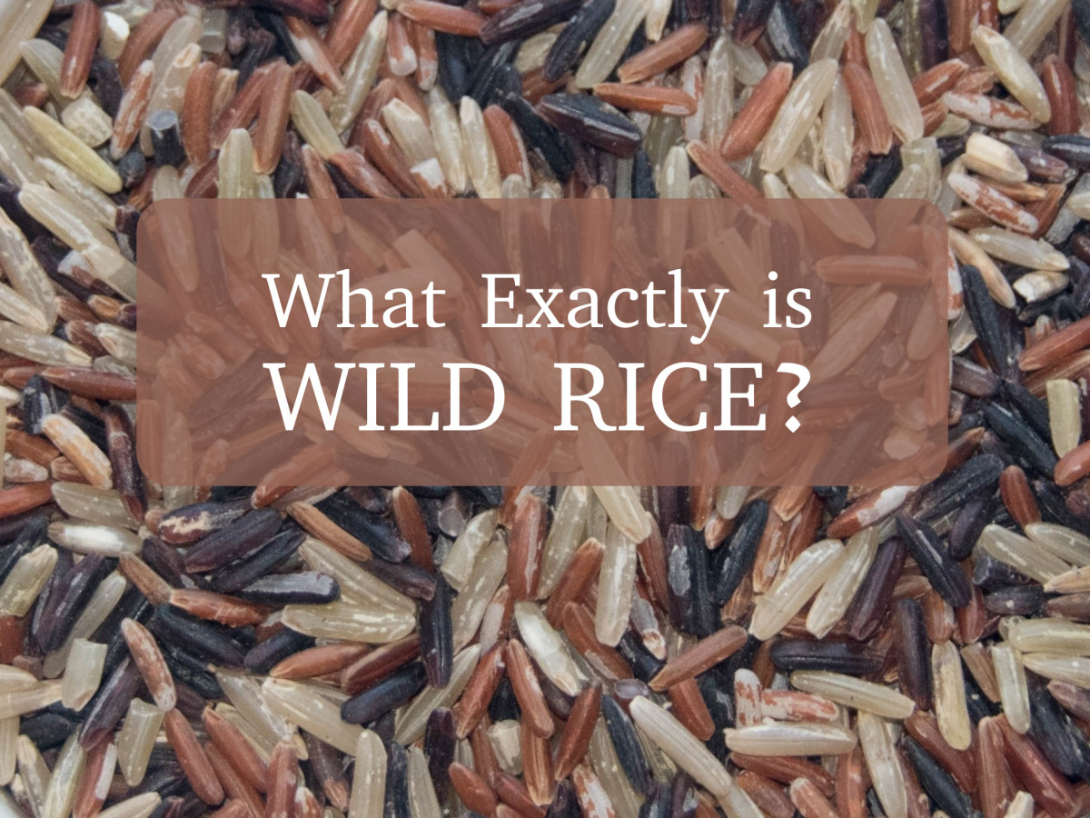 What Exactly Is Wild Rice?