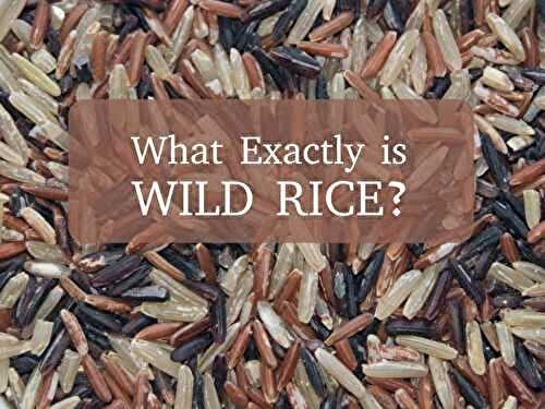 What Exactly Is Wild Rice?