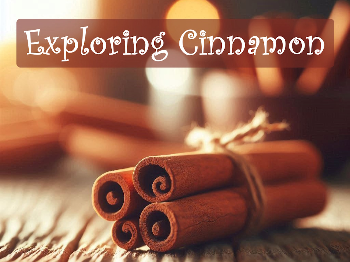 Exploring Cinnamon: How It's Made and Its Diverse Varieties