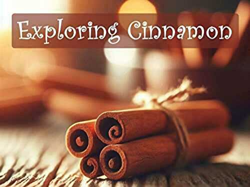 Exploring Cinnamon: How It's Made and Its Diverse Varieties