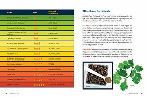 Hot Sauce!: Techniques for Making Signature Hot Sauces