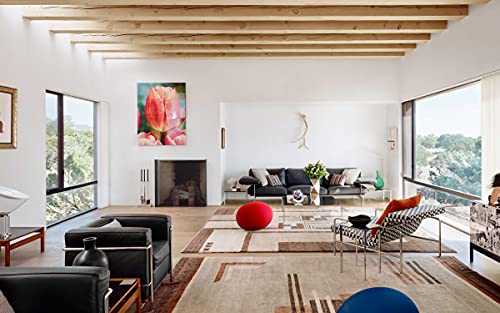 Santa Fe Modern: Contemporary Design in the High Desert